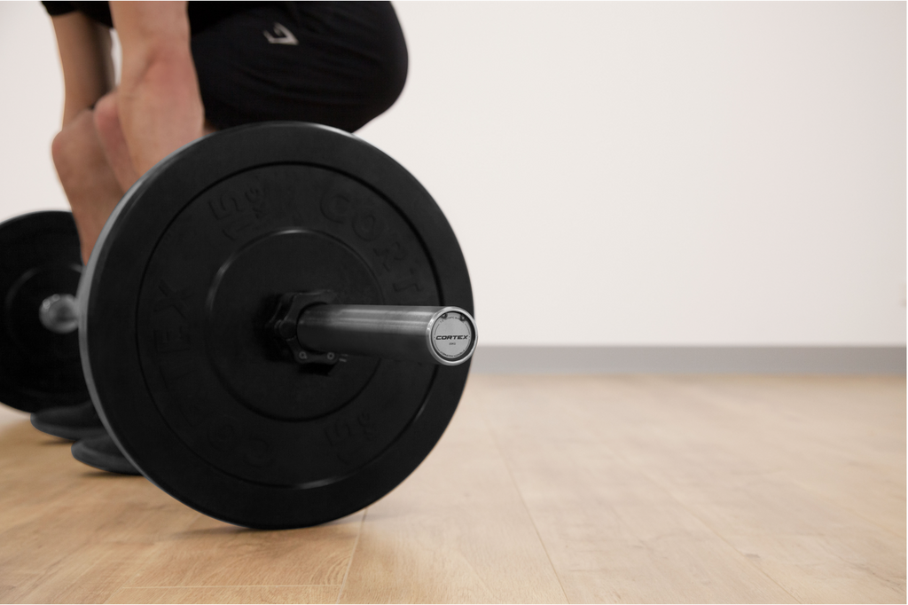 Everything You Need to Know About Olympic Barbells | Lifespan Fitness