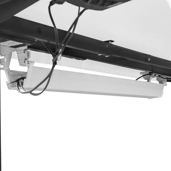 Walkingpad™ M2 Treadmill with Ergodesk Automatic White Standing Desk 1800mm + Cable Management Tray + DM9 Chair